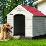Waleaf Plastic Dog House Outdoor Indoor for Small Medium Larige Dogs,Waterproof Dog Houses with Elevated Floor and Air Vents,Durable Ventilate & Easy Clean and Assemble - Image 23